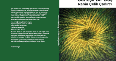 Rabia Çelik Çadırcı’dan “Güneşli Bir Düş”